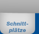 Schnitt